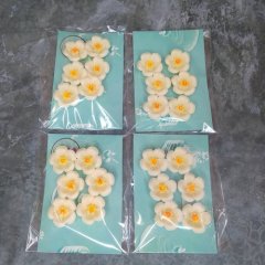 Фигурка из шоколадной глазури 3D "Цветы вишни" 